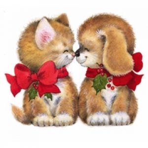 Sevimli Kedi ve Köpek Noel İçin