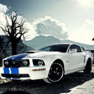 Şık Beyaz Mustang GT