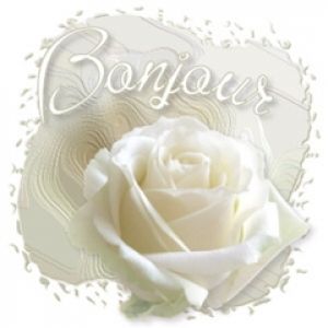 Şık Beyaz Gül ile Bonjour