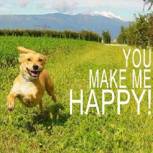 Mutlu Köpek Koşuyor
