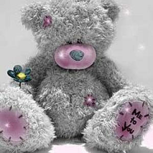 Sevimli Kalp Bear