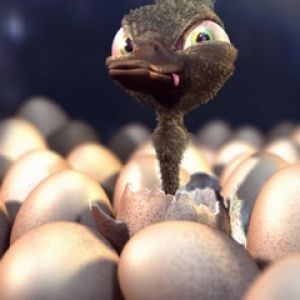 Sevimli Çizgi Film Devekuşu Yumurtadan Çıkıyor