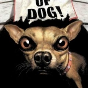Köpek Dikkat İllüstrasyonu