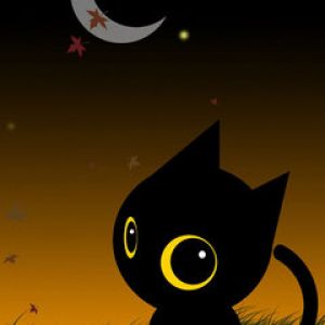 Sevimli Siyah Kedi Gece