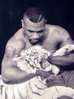Mike Tyson ile Bir Kaplan