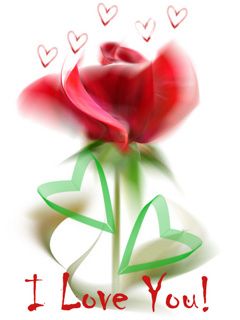 Romantik Gül ve Kalpler - wallpaper preview