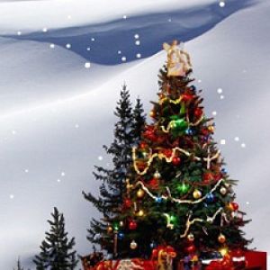 Karlağaçta Noel Ağacı
