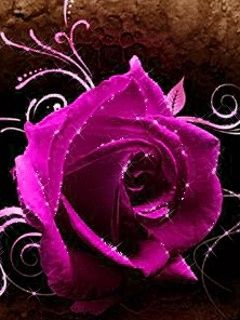 Güzel Pembe Gül - wallpaper preview