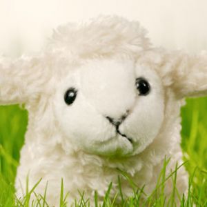 Şirin Peluş Koyun