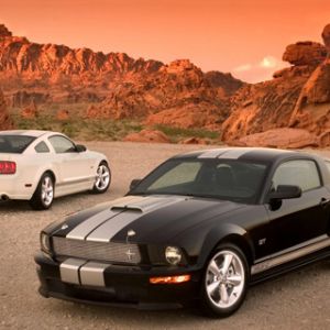 Çöl'de Mustang Arabaları