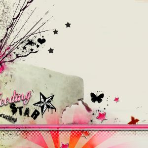 Bleeding Star Clothing Sanatı