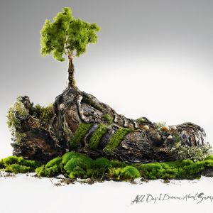 Doğadan İlham Alan Ayakkabı Sanatı