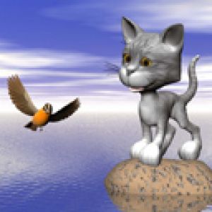 Şirin Kedi ve Kuş