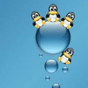 Şirin Penguenler Su Damlalarında