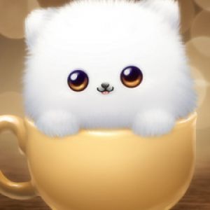Sevimli Kabarık Kedi Bir Kupa İçinde