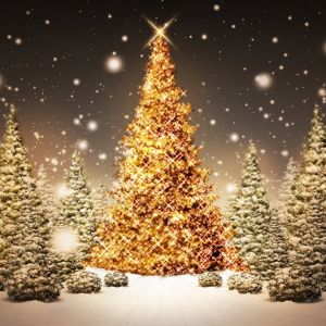 Parlayan Noel Ağacı