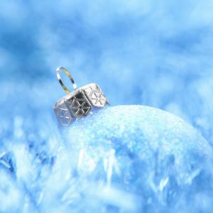 Mavi Noel Süsü