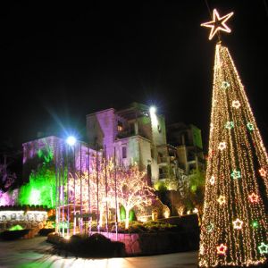 Noel Ağacı Gece Işıkları