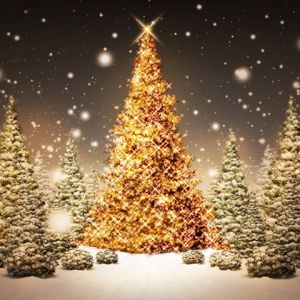 Parlayan Noel Ağacı