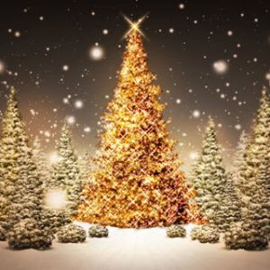 Karşısında kar olan Noel Ağacı