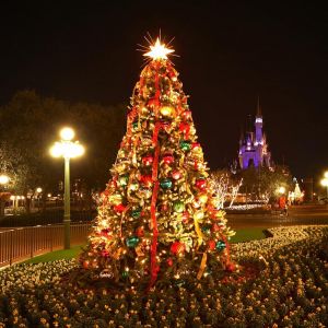 Gece Noel Ağacı