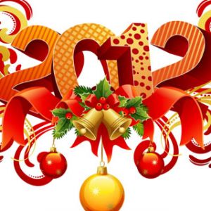 Yeni Yıl Kutlaması 2012