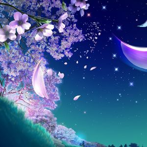 Hayalperest Gece Çiçeği