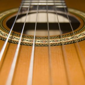 Gitar Telinin Yakın Çekimi