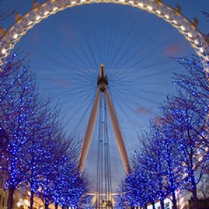 London Eye Gece