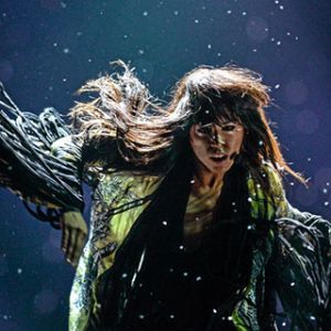 Sanatçının Dinamik Performansı