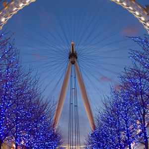 London Eye Gece