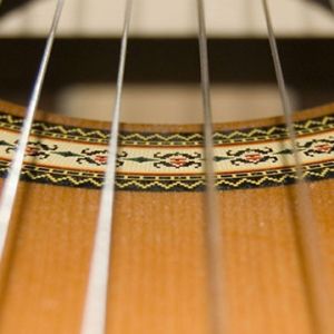 Gitar Telinin Yakın Çekimi