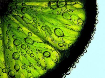 Taze Lime Dilimi ile Kabarcıklar - wallpaper preview