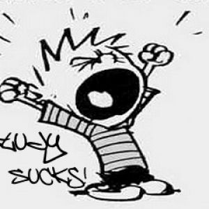 Calvin çalışmayı sevmiyor