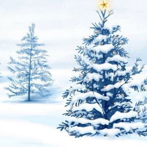 Karlı Noel Ağacı