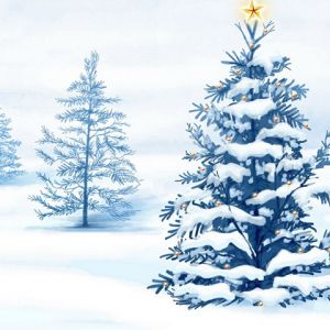 Kış Harikalar Diyarı Noel Ağacı