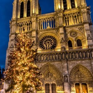 Notre Dame Katedrali'nde Noel