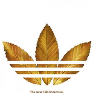 Adidas Sonbahar Koleksiyonu Yapraklar