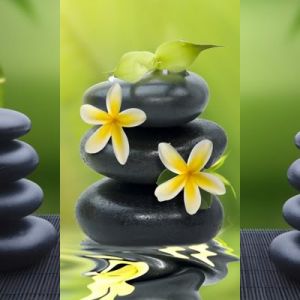 Zen Taşları ve Bambu