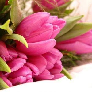 Pembe Lale Buketi