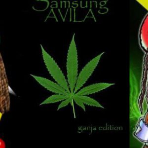 Rasta Penguen ve Ganja Sanatı