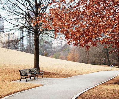 Sonbahar Park Yolu - wallpaper preview