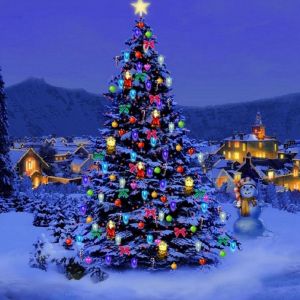 Güzel Noel Ağacı Gece