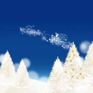 Büyülü Noel Gecesi