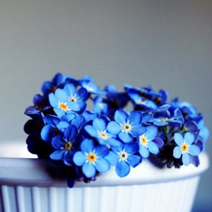 Mavi Unutma Beni Çiçekleri