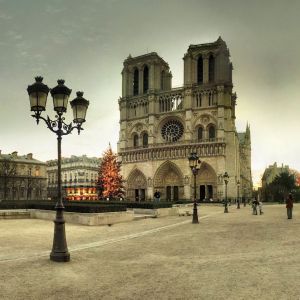 Noel'de Notre Dame Katedrali