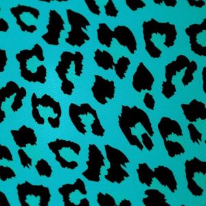  Leopar Deseni