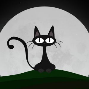 Siyah Kedi Silueti