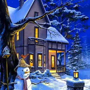 Kış Harikalar Diyarı Noel Manzarası