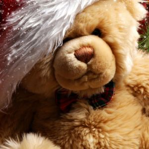 Şirin Noel Ayısı